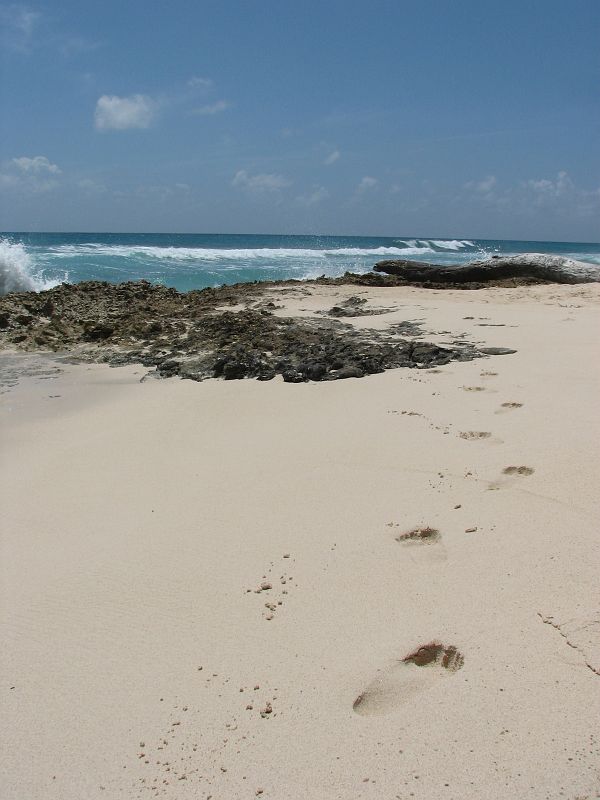 IMG_3407 Lost in Barbados!