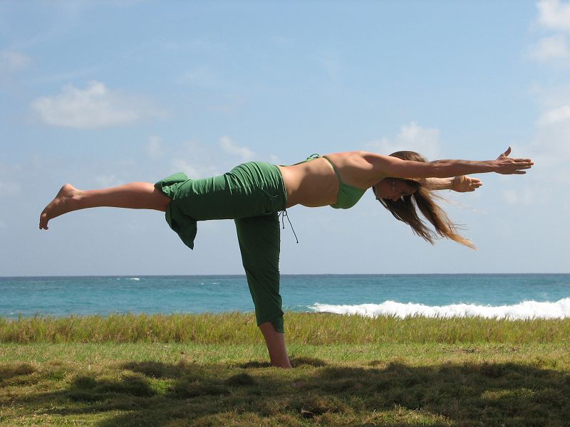 IMG_3431 Warrior III - Virabadrasana III