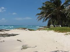 IMG_3368 Bajan scenery.