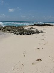 IMG_3407 Lost in Barbados!