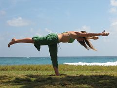 IMG_3431 Warrior III - Virabadrasana III