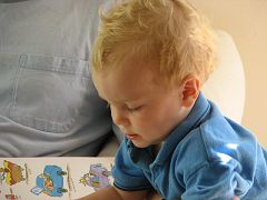 IMG_3318 Engrossed!