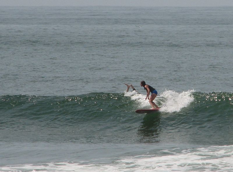 IMG_3721_crop2 
