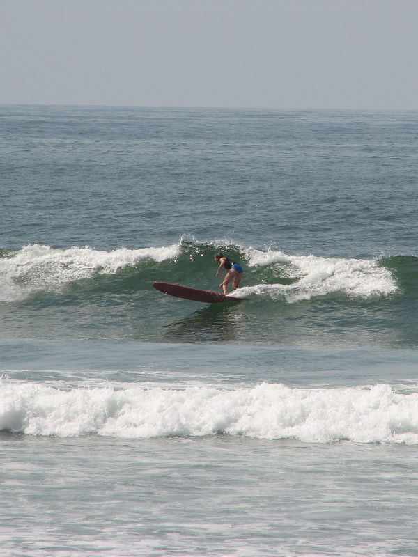 IMG_3742_crop 