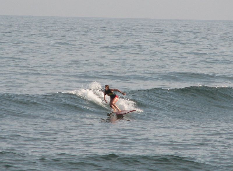 IMG_3827_crop 