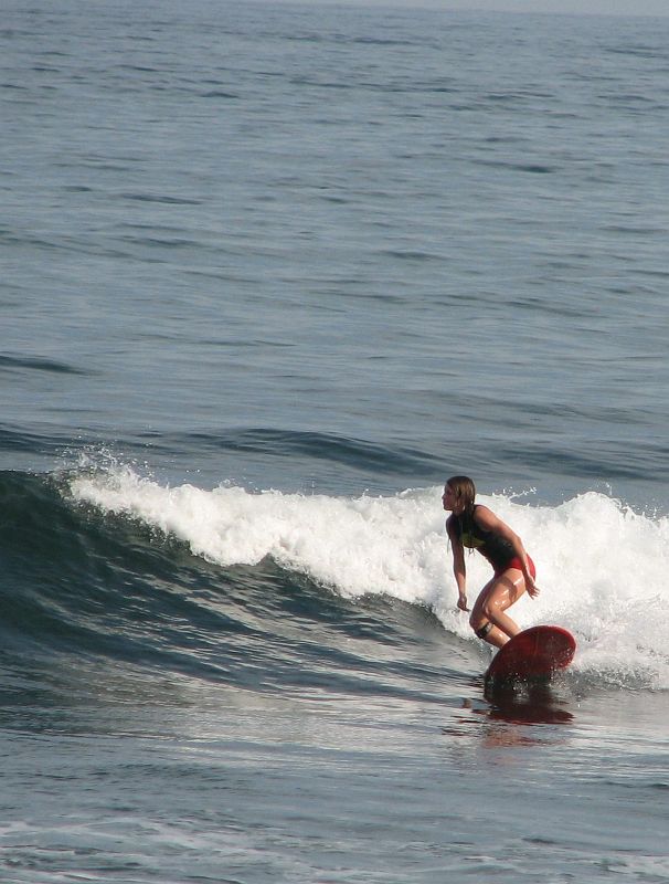 IMG_3856_crop 
