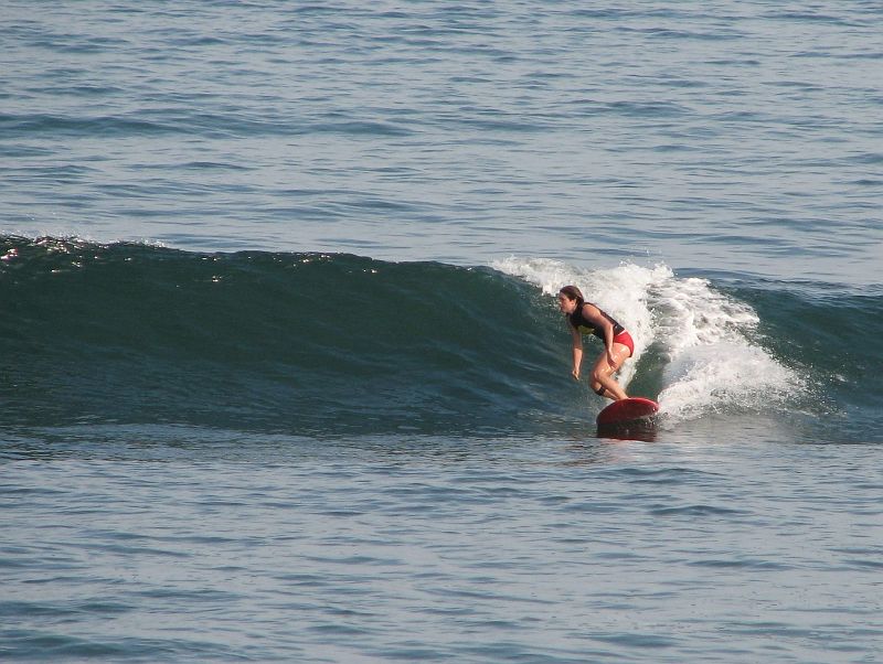 IMG_3888_crop2 