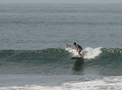 IMG_3721_crop2 