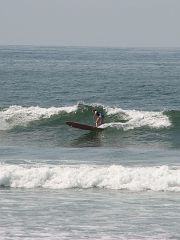 IMG_3742_crop 
