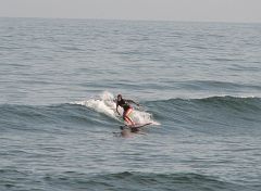 IMG_3827_crop 