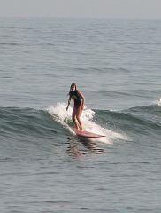 IMG_3842_crop 