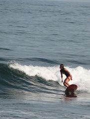 IMG_3856_crop 