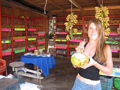 IMG_3937 Stopping at the roadside for a refreshing coco gelado (cold coconut).