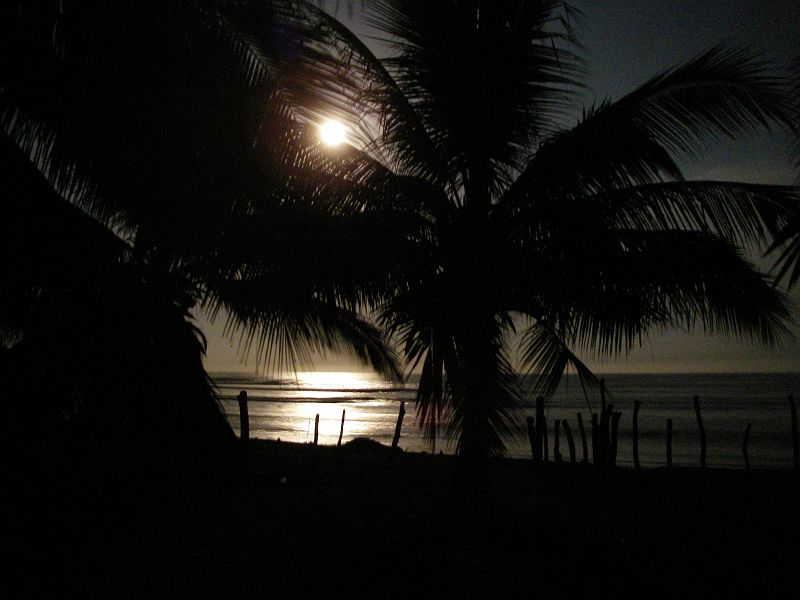 SAL_0088 The next day we began our pre-dawn surf routine. Full moon, warm water, no wind, no sunburn and noone else!