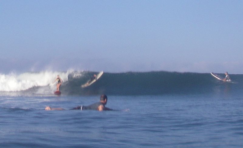 SAL_0416_cr She weaves her way along the wave.