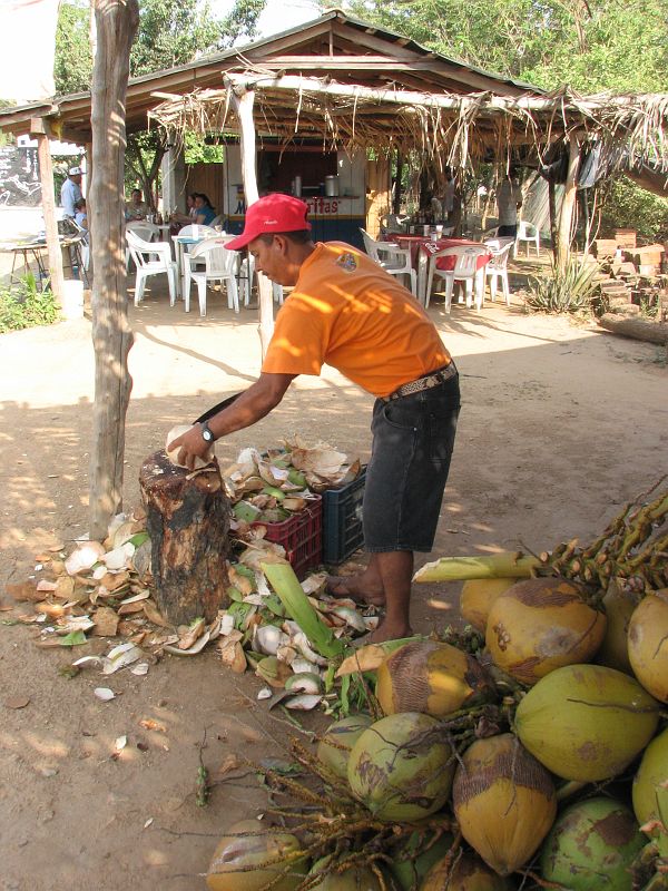 SAL_0756 Quick roadside stop for a coco frio!