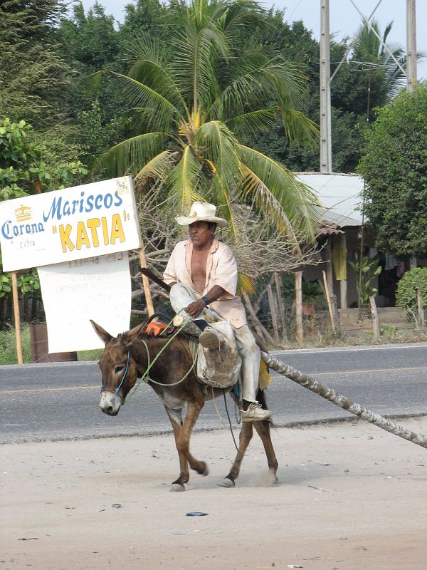 SAL_0760 large man, small burro.