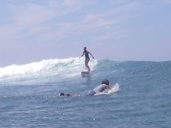 SAL_0223_cr 