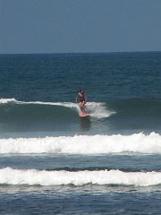 SAL_0481_crop 