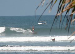 SAL_0482_cr 