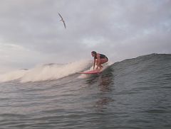 SAL_0692_cr 