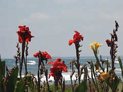 SAL_0721 