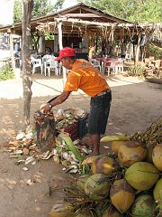 SAL_0756 Quick roadside stop for a coco frio!
