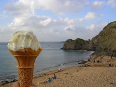DSCN1937 Devonshire Ice - CREAM!
