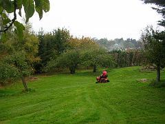 DSCN1966 Dad mows the orchard.
