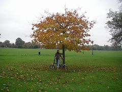 IMGP1576 Clapham Common.