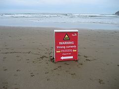 IMG_8463 Then Mum spots the warning signs!