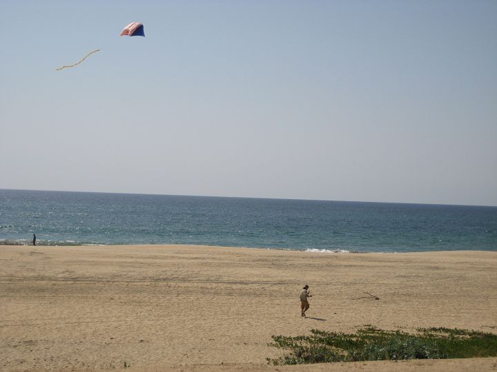 IMG_2965.JPG