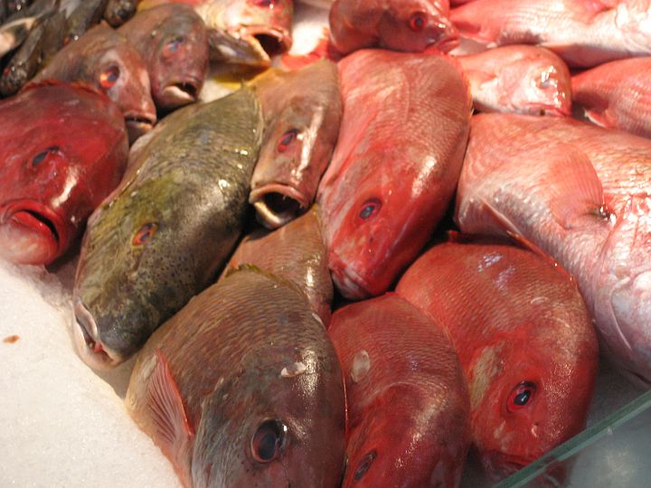 IMG_2978.JPG - Red Snapper at the local super market.
