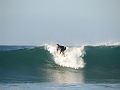 IMG_8522