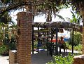 IMG_2855_crop