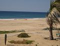 IMG_2867_crop