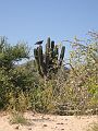 IMG_3038_crop
