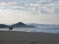 IMG_8507