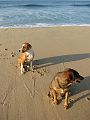IMG_8545