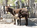 IMG_8765