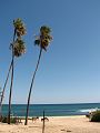 IMG_8770_crop