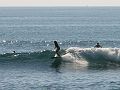 IMG_9320_crop