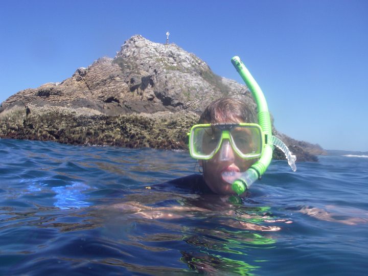 IMGP2676.JPG - Snorkelling at Julian Rocks.