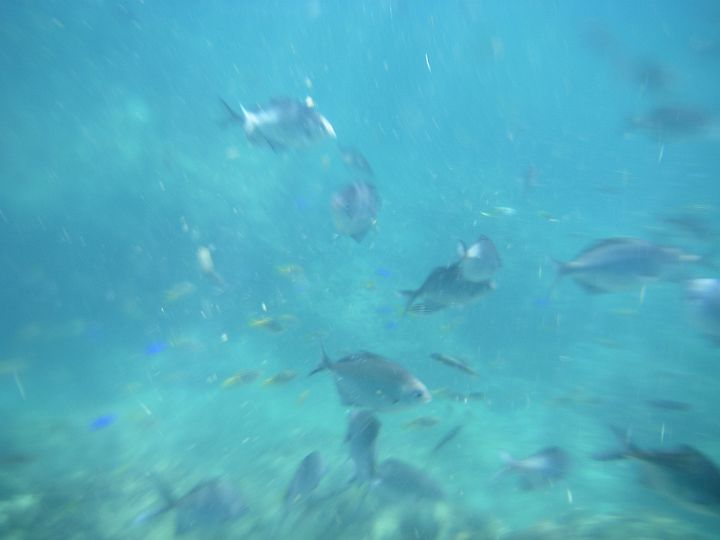 IMGP2693.JPG