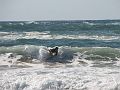 IMG_7938