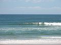IMG_8252